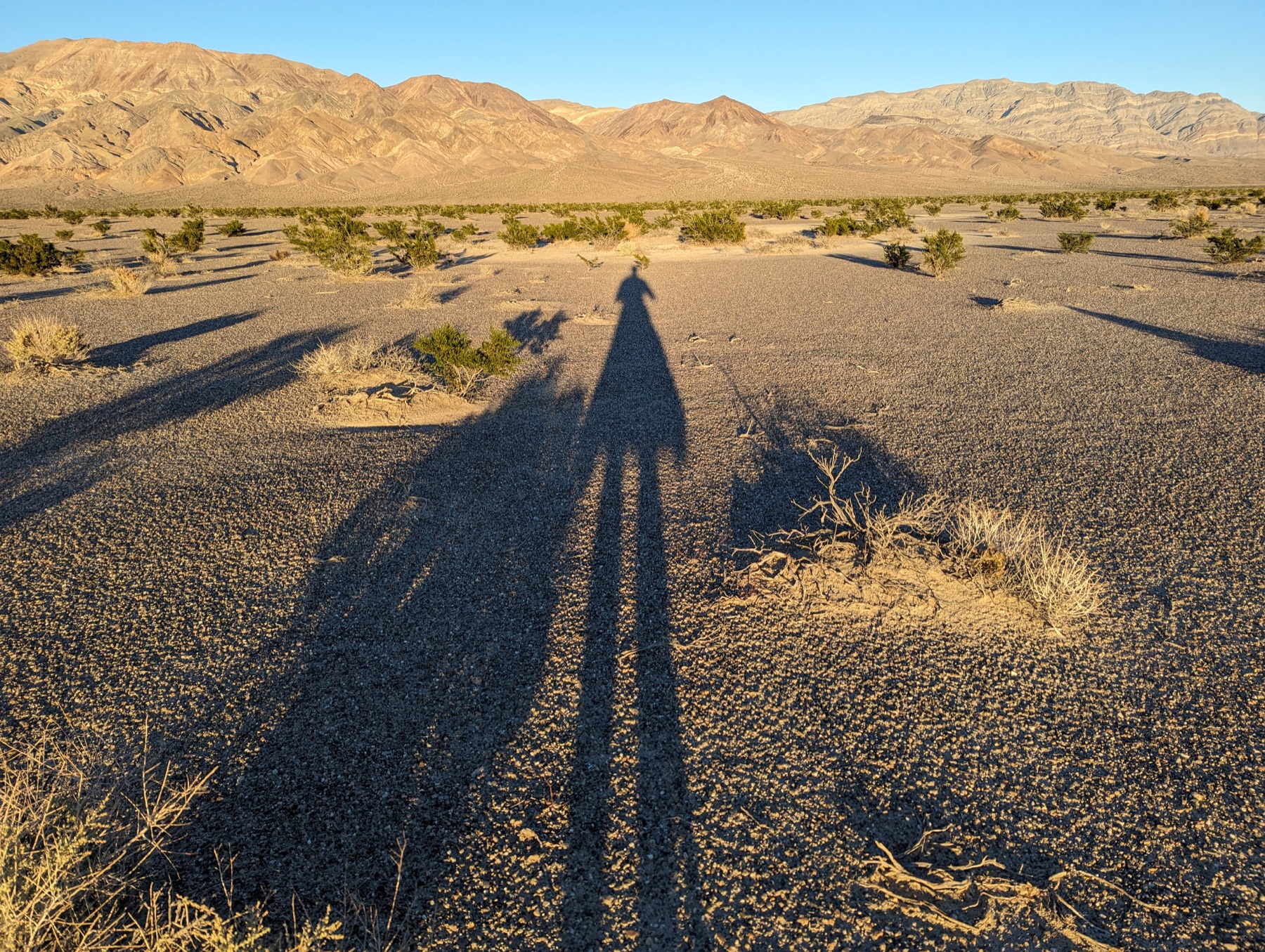 A long human shadow stretching toward desert mountains