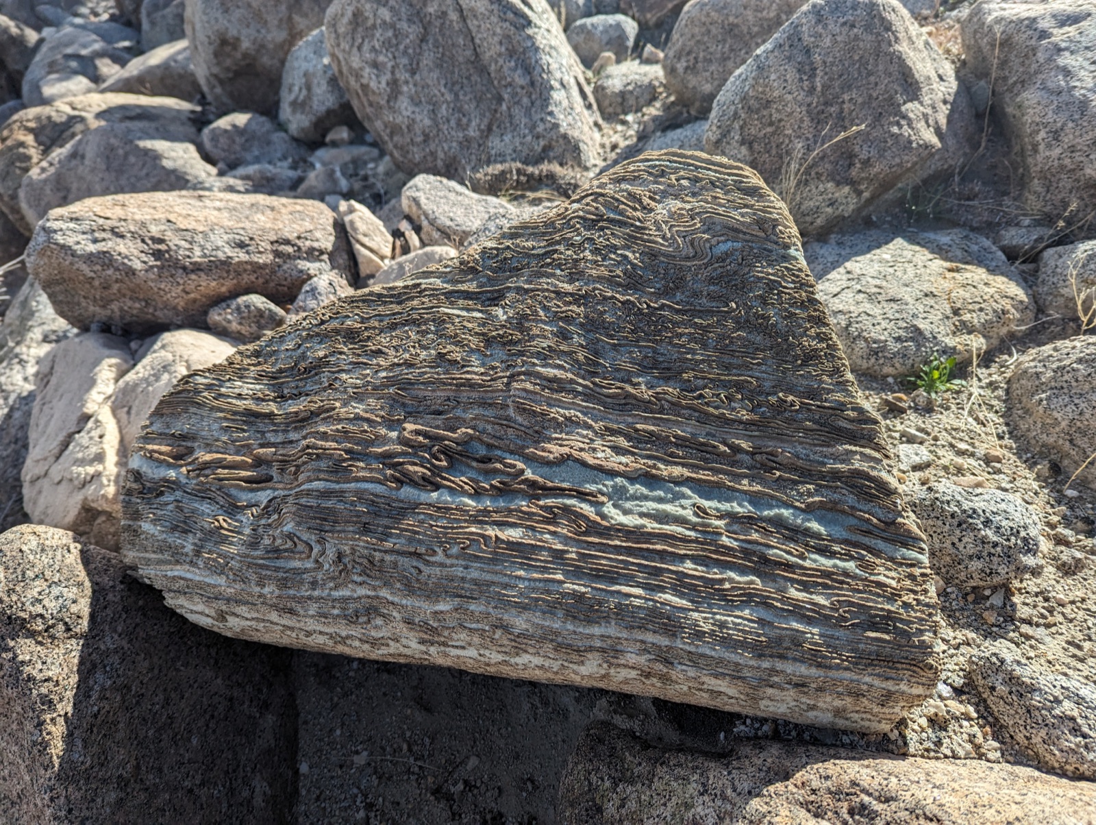 Fine folded layers running through a desert stone